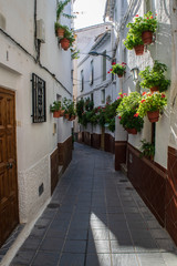 flower alley