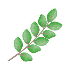 branch with leafs icon