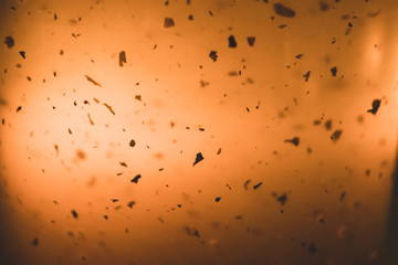 Glassy teapot with pieces of tea leaves with the homey background