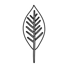 Fototapeta premium ecology leaf plant icon