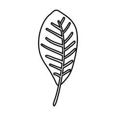 ecology leaf plant icon