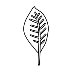 ecology leaf plant icon
