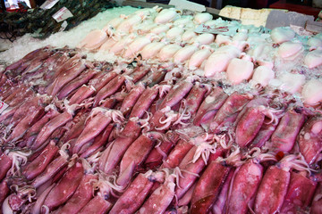 Fresh Cutter fish and squid sale in seafood market, white squid sale in port market
