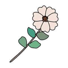 flower with leafs icon