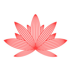 Lotus flower. Red and pink isolated on white background. Ethnic oriental ornament