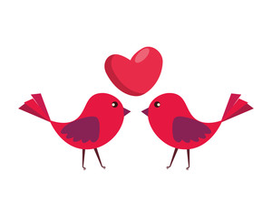 birds couple with heart love