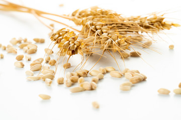 wheat ears and wheat grains