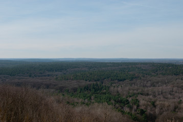 Beautiful view from above of the forest in winter season