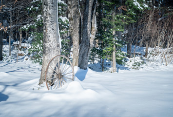 Jardin hiver Quebec roue