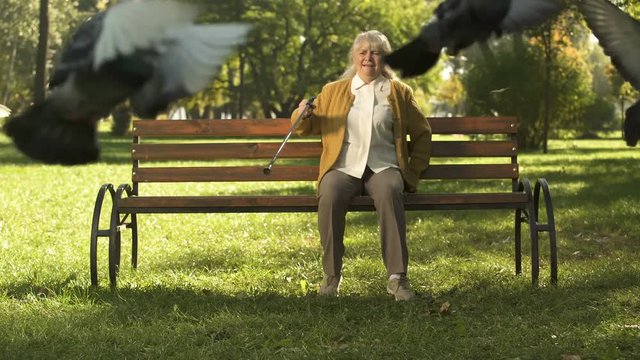 Grumpy old lady shooing away pigeons, sitting on bench in park, unhappy elderly