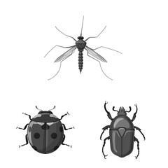 Isolated object of insect and fly logo. Set of insect and element stock symbol for web.