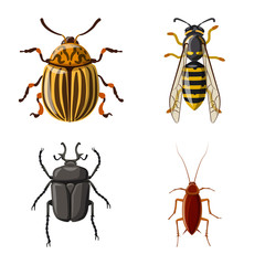 Isolated object of insect and fly icon. Set of insect and element vector icon for stock.