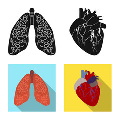 Vector illustration of body and human icon. Collection of body and medical stock vector illustration.