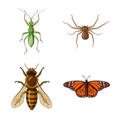 Vector design of insect and fly logo. Set of insect and element vector icon for stock.