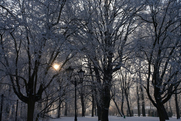 Lodz, Poland: January, 2005 - Zrodliska Park