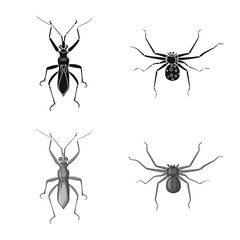 Isolated object of insect and fly symbol. Collection of insect and element stock symbol for web.