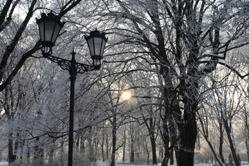 Zrodliska Park, Lodz, Poland