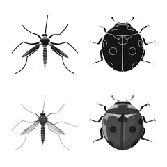 Isolated object of insect and fly icon. Collection of insect and element stock symbol for web.