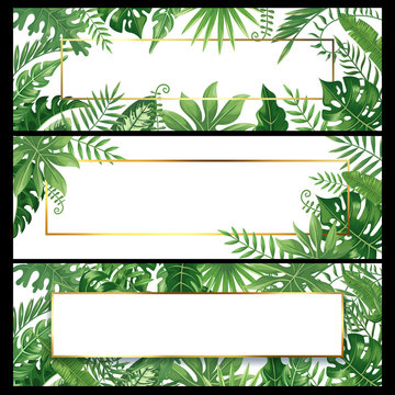 Tropical leaves banners. Exotic palm leaf banner, natural coconut palms branch frames and jungle plants vector background design set
