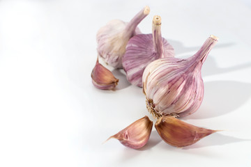 garlic on white background