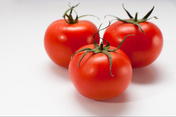 tomatoes on white background