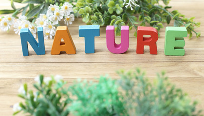 Colorful Word ' NATURE ' Among Flower and Green Plant in Foreground on Wooden Table