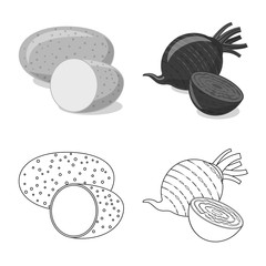 Vector illustration of vegetable and fruit symbol. Set of vegetable and vegetarian vector icon for stock.