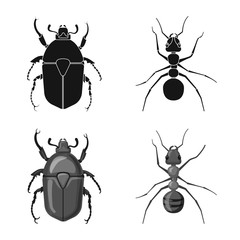 Vector illustration of insect and fly symbol. Collection of insect and element stock vector illustration.