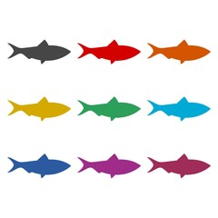 Obraz premium Fish simple flat icon or logo, color set