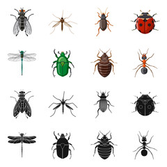 Vector design of insect and fly icon. Set of insect and element vector icon for stock.