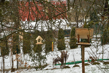 fodder rack with sunflowers millet grain seeds for feeding birds in winter snow