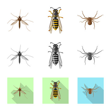 Isolated object of insect and fly sign. Collection of insect and element stock vector illustration.