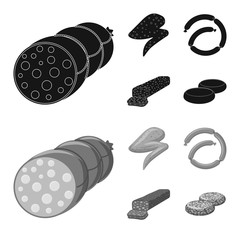 Isolated object of meat and ham symbol. Collection of meat and cooking vector icon for stock.