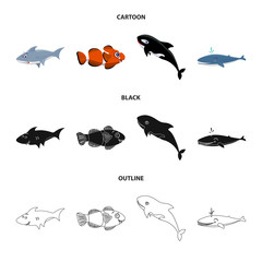 Vector illustration of sea and animal sign. Collection of sea and marine stock symbol for web.