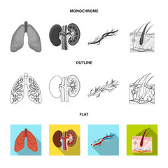 Isolated object of body and human sign. Set of body and medical vector icon for stock.