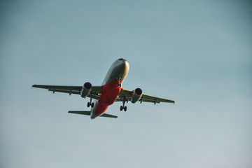 Fototapeta na wymiar A passenger plane flies in the sky close up. Clear sky safe to fly. Aircraft released landing gear