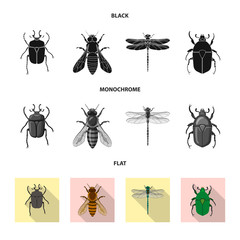 Isolated object of insect and fly sign. Collection of insect and element vector icon for stock.