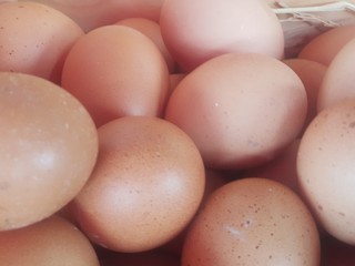 Multi Chickens and Ducks Eggs In basket for cooking