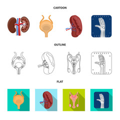 Vector design of body and human symbol. Collection of body and medical vector icon for stock.