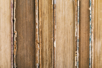 Texture from the old shabby books