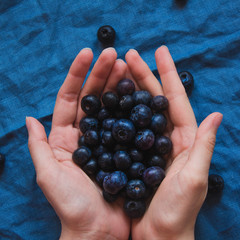 Overhead close up of female hands wth handful of blueberries on a blue linen cloth draped.