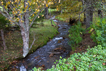 Panorama e natura della Virginia (USA)