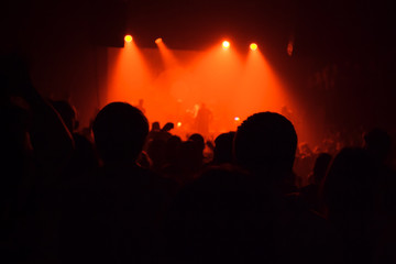 audience silhouettes crowd in large concert hall watching rock show.