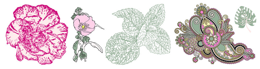 set of flowers and leaves in a realistic and decorative style