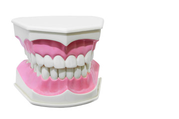 Medical denture jaws teeth, close-up