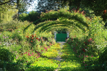 Jardin de Claude Monet à Giverny, grande allée du clos normand (France)