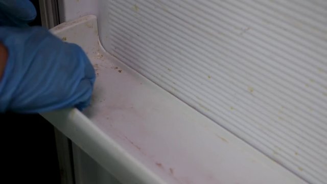 female hand in blue rubber glove washes away dirt on the fridge shelf - Powered by Adobe