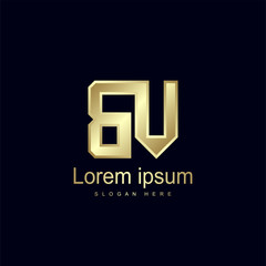 Initial Letter BV Logo Template Vector Design