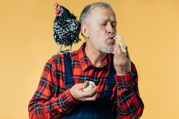 old handsome farmhand is kissing little chickens on the farm. close up photo. love, care, feelings concept