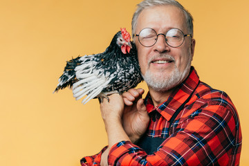 old farmer embracing the cock and posing to the camera isolated orange background. copy space....